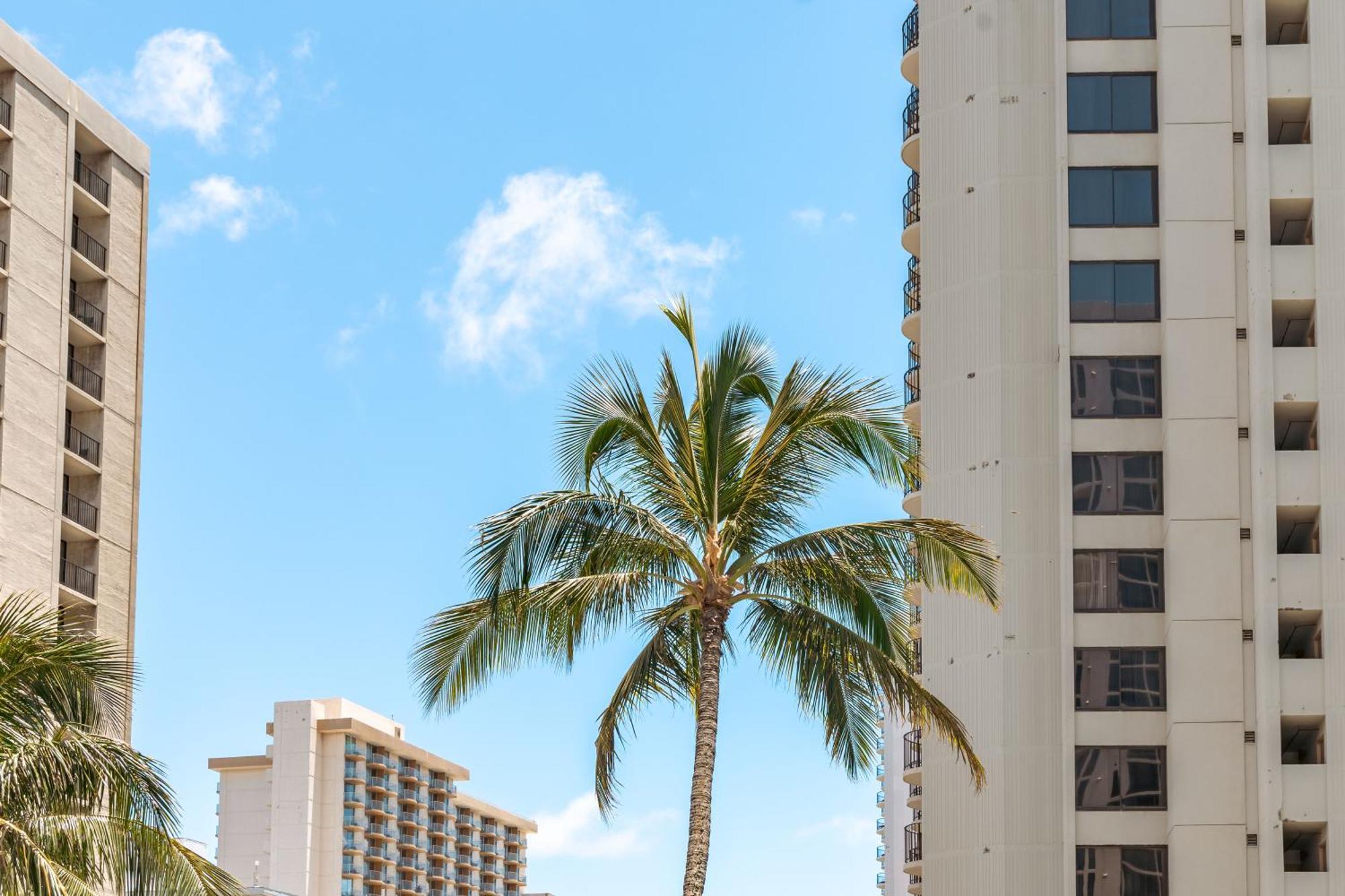 Cozy Waikiki Getaway, Stroll To Beach With Free Parking Honolulu Eksteriør bilde