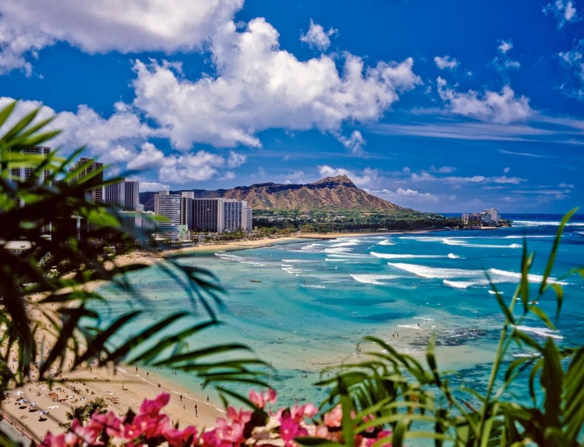 Cozy Waikiki Getaway, Stroll To Beach With Free Parking Honolulu Eksteriør bilde