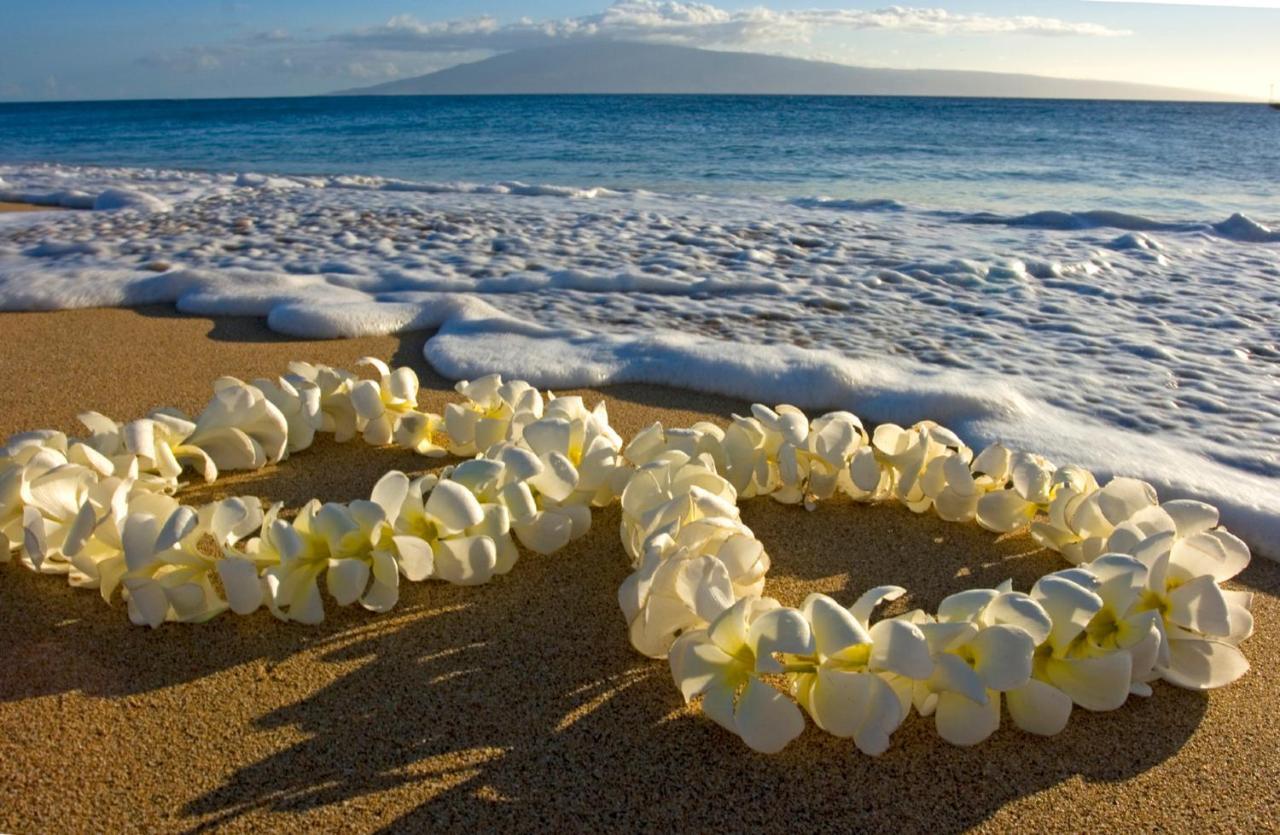 Cozy Waikiki Getaway, Stroll To Beach With Free Parking Honolulu Eksteriør bilde